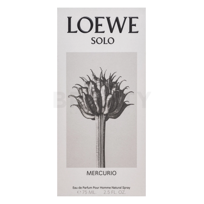 Loewe Solo Loewe Mercurio parfémovaná voda pro muže 75 ml