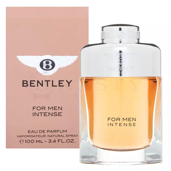 Bentley for Men Intense parfémovaná voda pro muže 100 ml