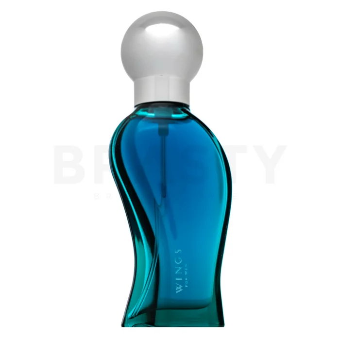 Giorgio Beverly Hills Wings for Men toaletní voda pro muže 30 ml