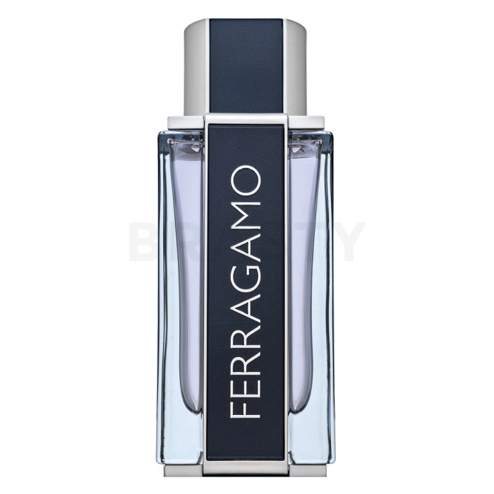 Salvatore Ferragamo Ferragamo Toaletna voda za moške 100 ml