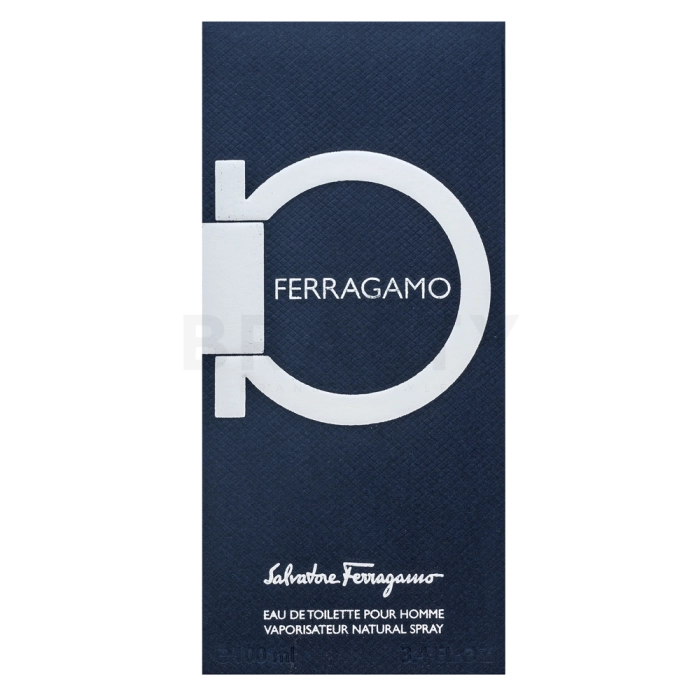 Salvatore Ferragamo Ferragamo Toaletna voda za moške 100 ml