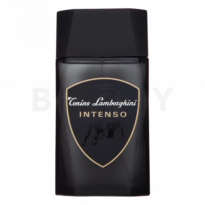 Tonino Lamborghini Intenso Eau de Toilette for men 100 ml