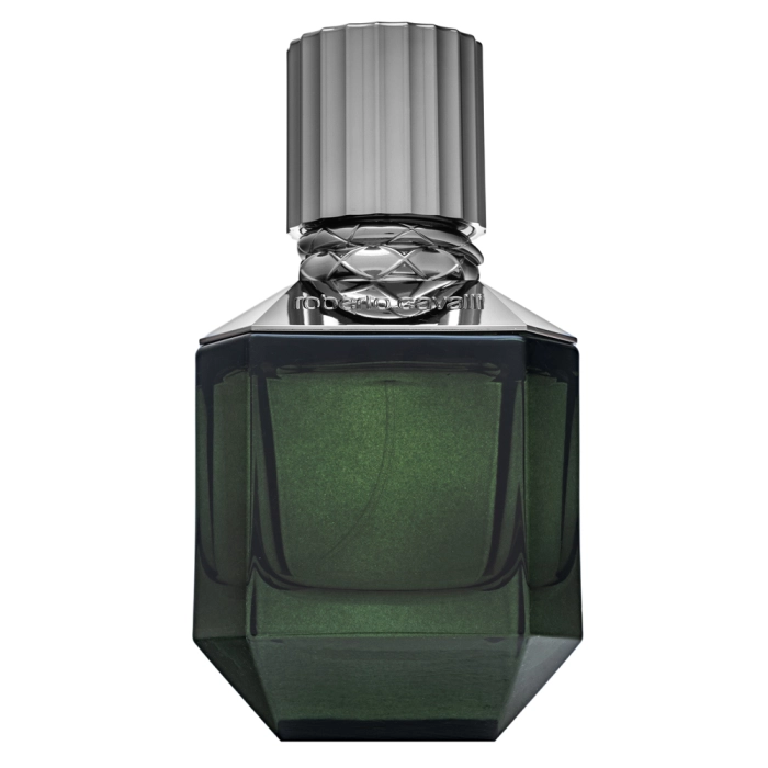 Roberto Cavalli Paradise Found Eau de Toilette bărbați 50 ml