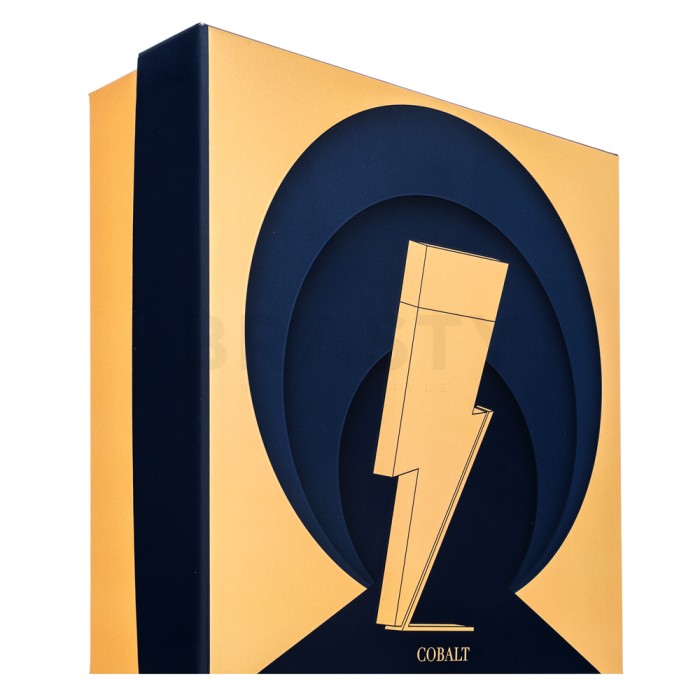 Carolina Herrera Bad Boy Cobalt dárková sada pro muže Set II. 100 ml