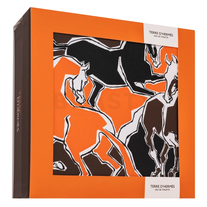 Hermès Terre D'Hermes ajándékszett férfiaknak Set II. 50 ml