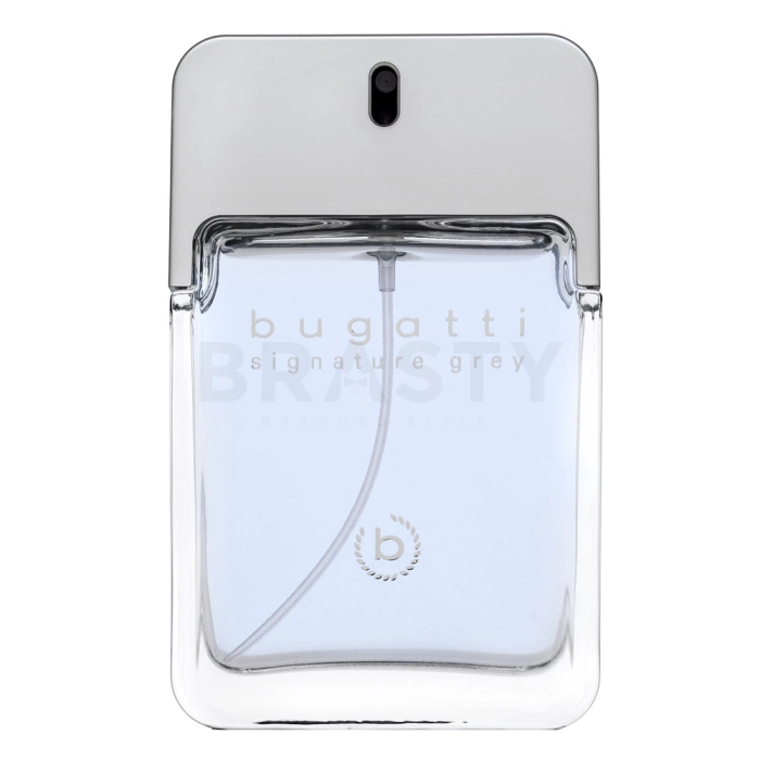 Bugatti Signature Grey тоалетна вода за мъже 100 ml