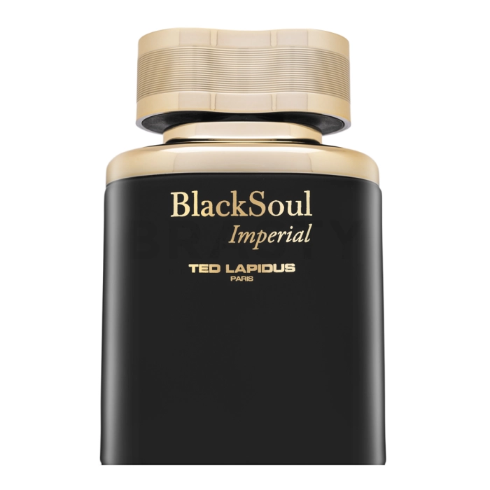 Ted Lapidus Black Soul Imperial toaletní voda pro muže Extra Offer 50 ml