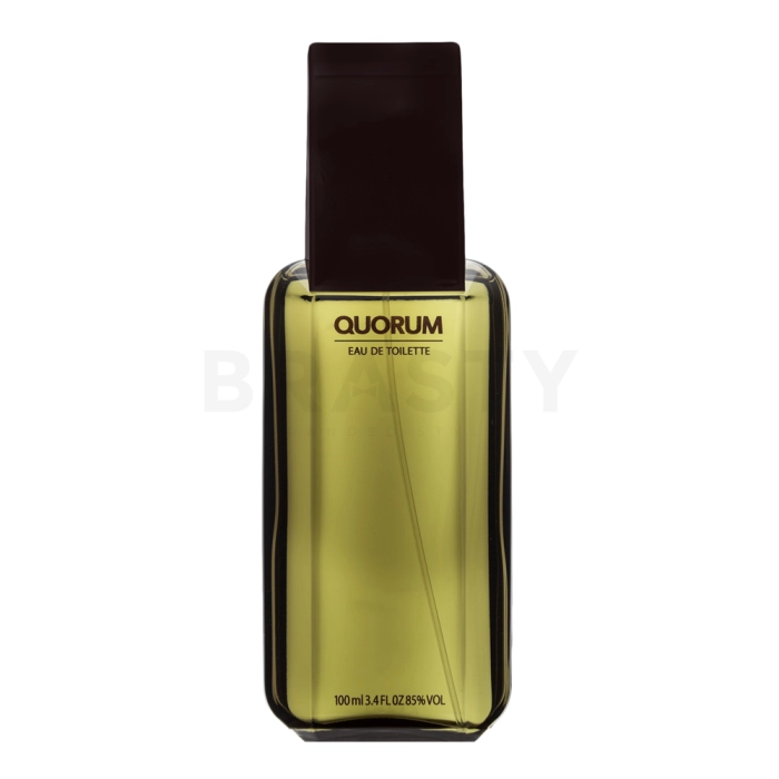 Antonio Puig Quorum Eau de Toilette bărbați Extra Offer 3 100 ml