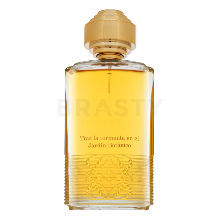 Loewe Tras La Tormenta Jardin Botanico parfemska voda unisex 100 ml