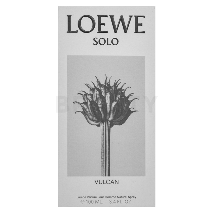 Loewe Solo Vulcan parfemska voda za muškarce 100 ml