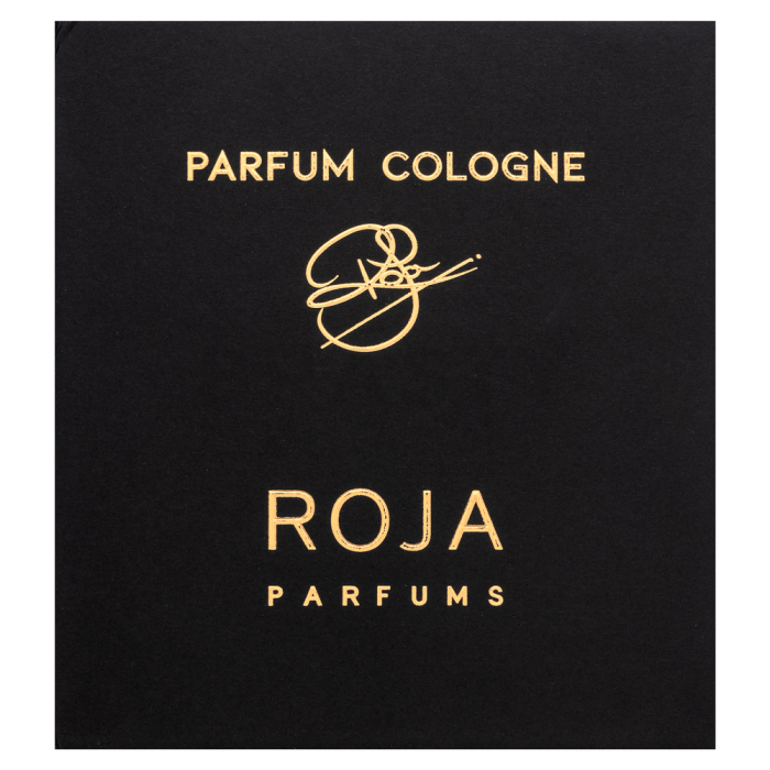 Roja Parfums Vetiver kolínska voda pre mužov 100 ml