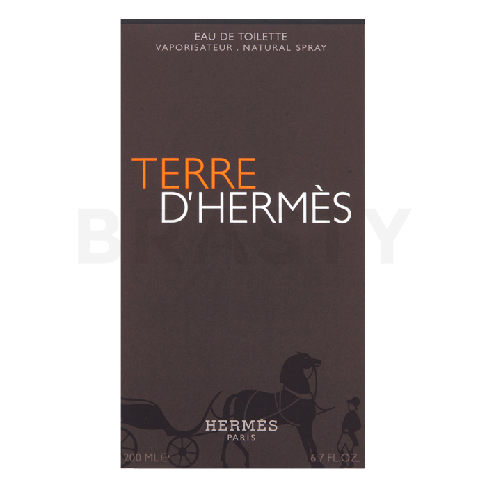 Hermès Terre D'Hermes toaletní voda pro muže Extra Offer 4 200 ml