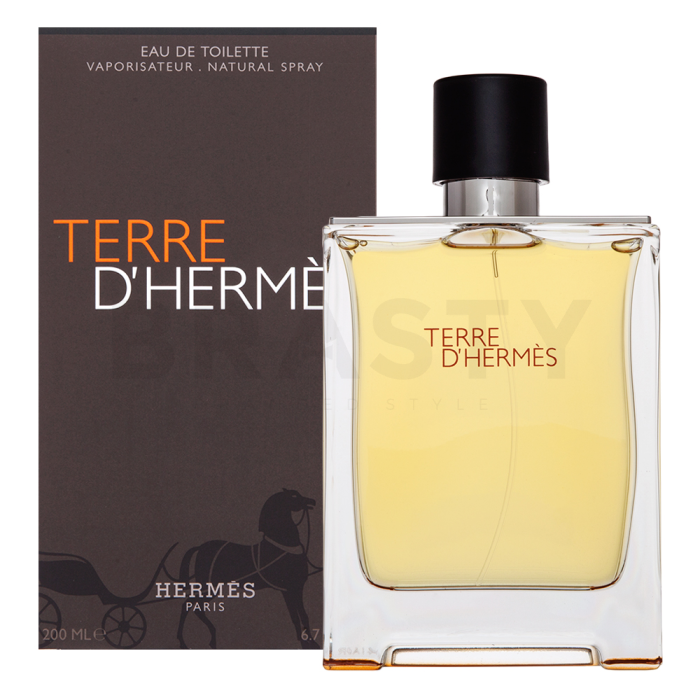 Hermès Terre D'Hermes toaletní voda pro muže Extra Offer 4 200 ml