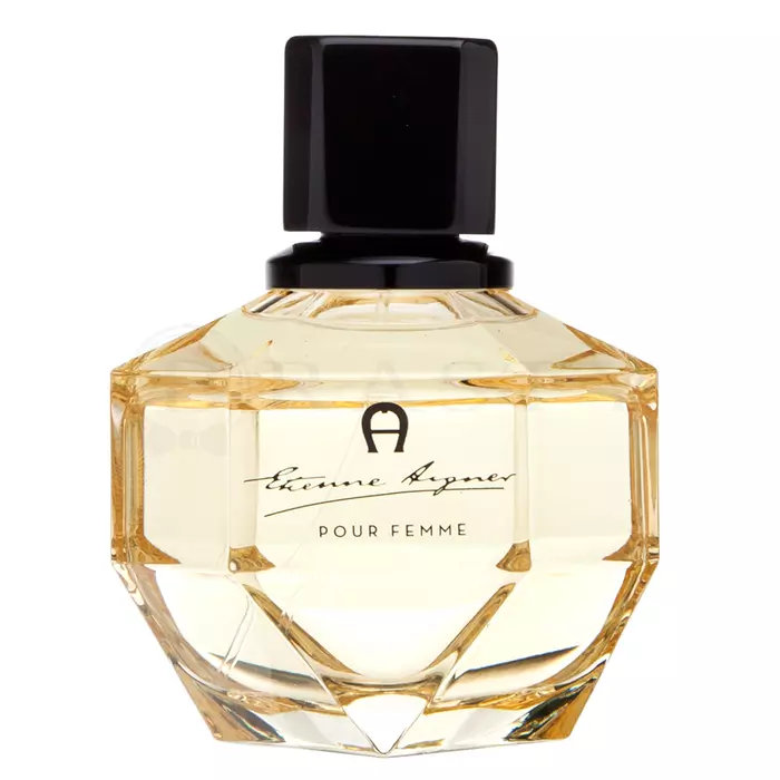 Aigner Etienne Aigner Pour Femme parfémovaná voda pro ženy 100 ml