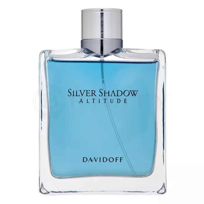 Davidoff Silver Shadow Altitude toaletní voda pro muže 100 ml
