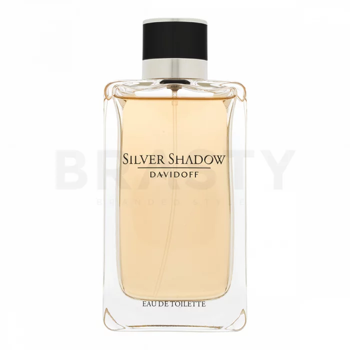 Davidoff Silver Shadow toaletní voda pro muže 100 ml
