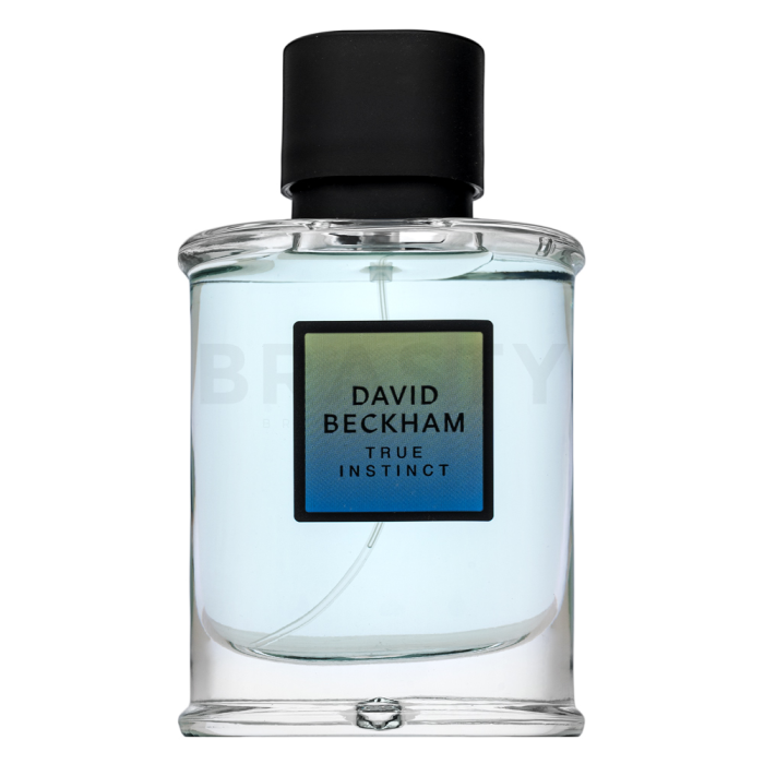 David Beckham True Instinct parfémovaná voda pre mužov 75 ml