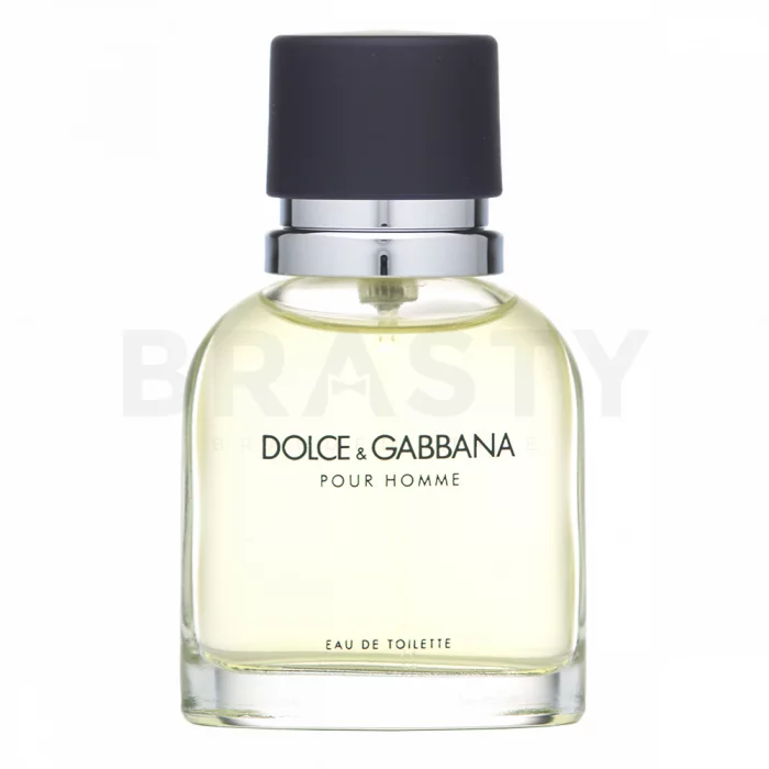 Dolce & Gabbana Pour Homme Eau de Toilette for men 40 ml
