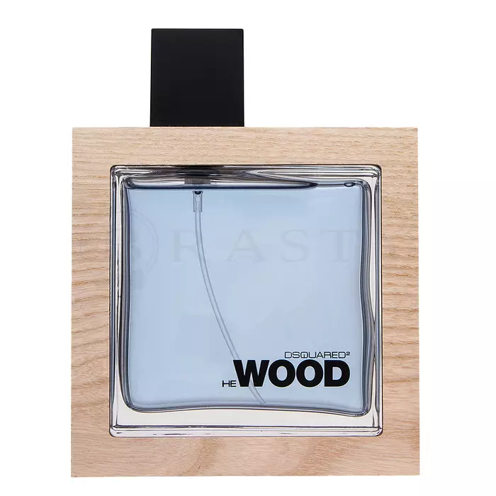 Dsquared2 He Wood Ocean Wet Wood Eau de Toilette for men 100 ml