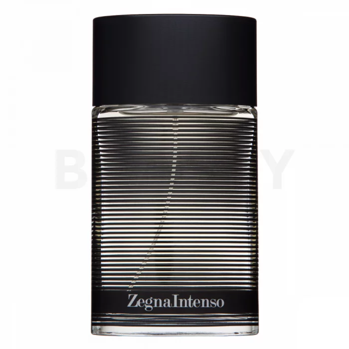 Ermenegildo Zegna Intenso toaletná voda pre mužov 100 ml