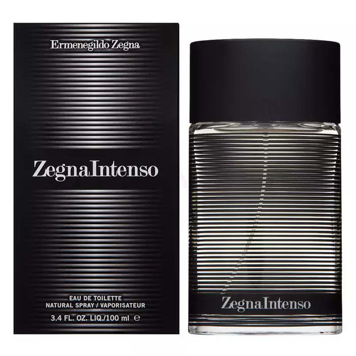 Ermenegildo Zegna Intenso toaletná voda pre mužov 100 ml
