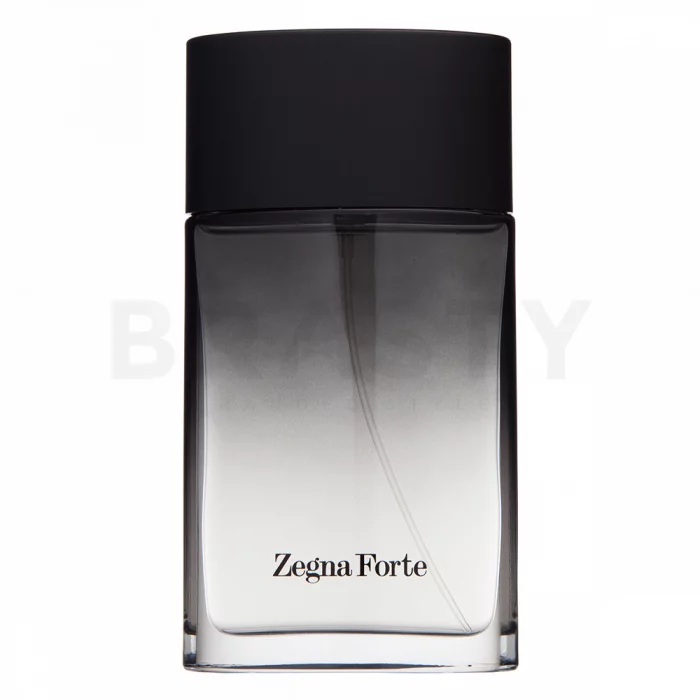 Ermenegildo Zegna Zegna Forte Eau de Toilette for men 100 ml