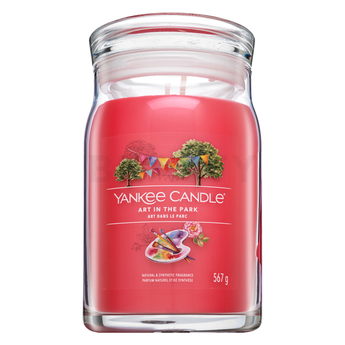 Yankee Candle Art In The Park 567 g
