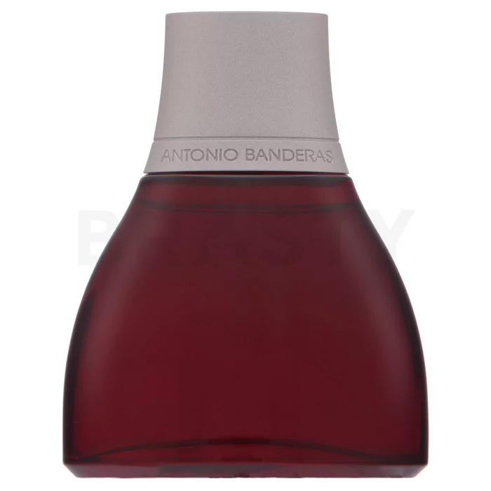 Antonio Banderas Spirit for Men toaletní voda pro muže 50 ml