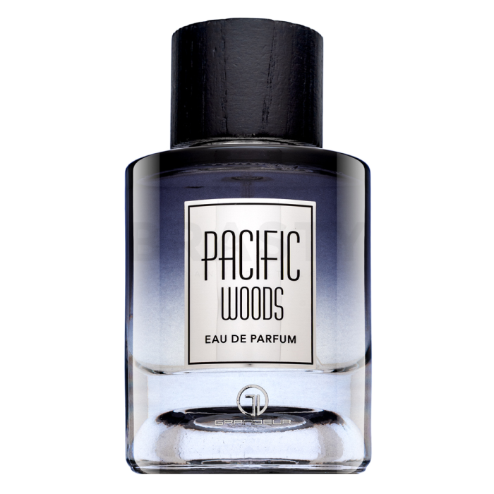 Grandeur Pacific Woods parfémovaná voda pro muže 100 ml