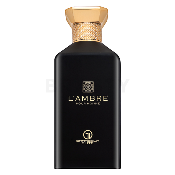 Grandeur L'Ambre parfémovaná voda pro muže 100 ml