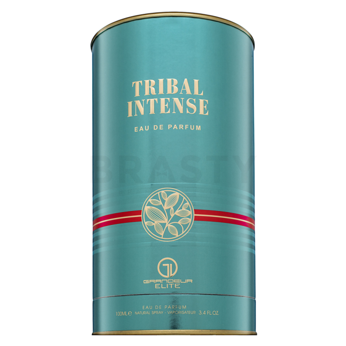 Grandeur Tribal Intense parfémovaná voda pro muže 100 ml