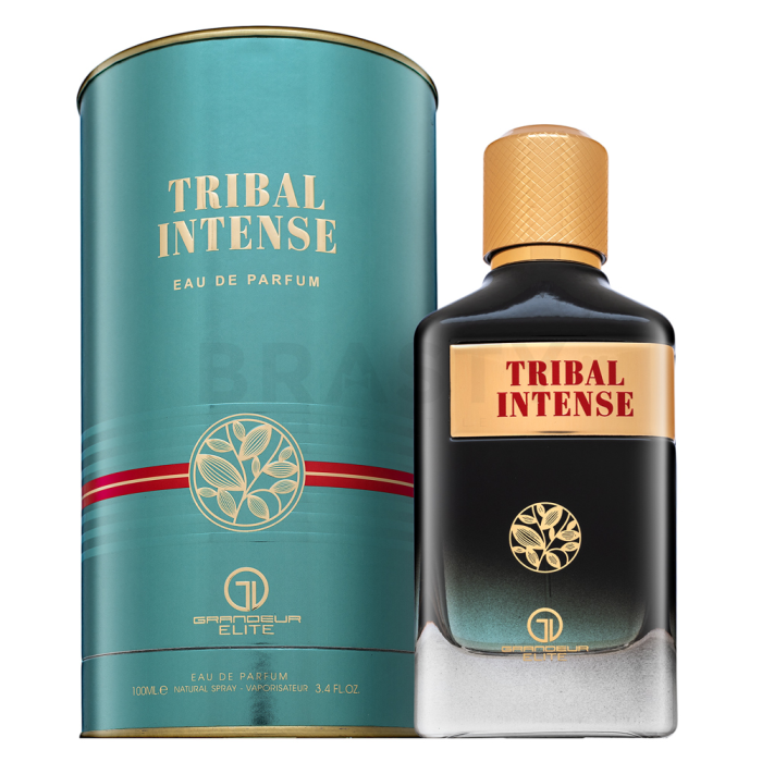 Grandeur Tribal Intense parfémovaná voda pro muže 100 ml
