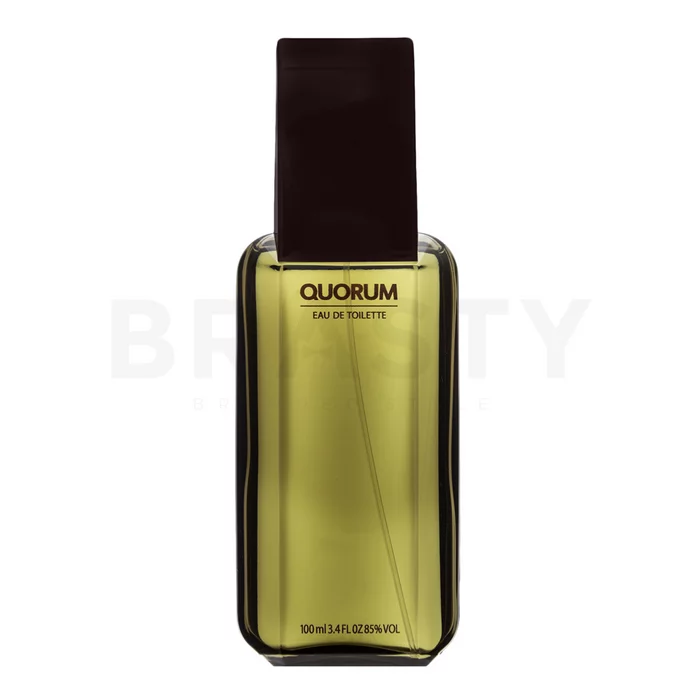 Antonio Puig Quorum Eau de Toilette for men 100 ml