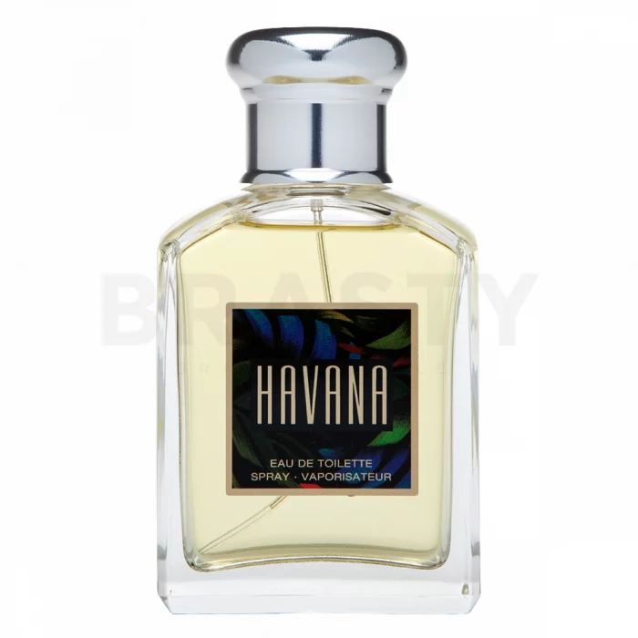 Aramis Aramis Havana Eau de Toilette bărbați 100 ml