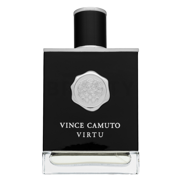 Vince Camuto Virtu toaletní voda pro muže 100 ml