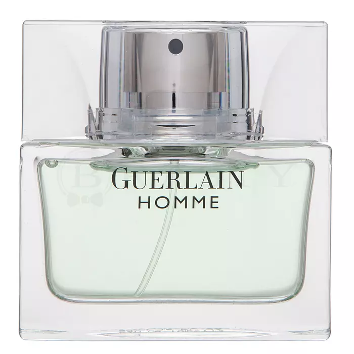 Guerlain Guerlain Homme Eau de Toilette for men 50 ml