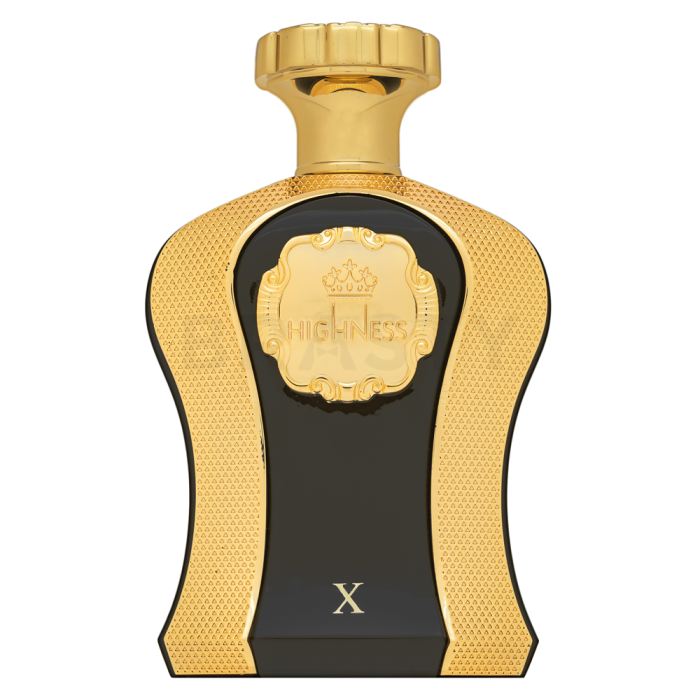 Afnan Highness X parfémovaná voda unisex 100 ml