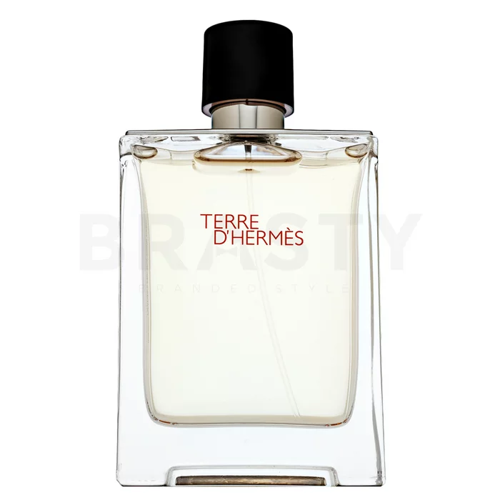 Hermès Terre D'Hermes toaletní voda pro muže 100 ml