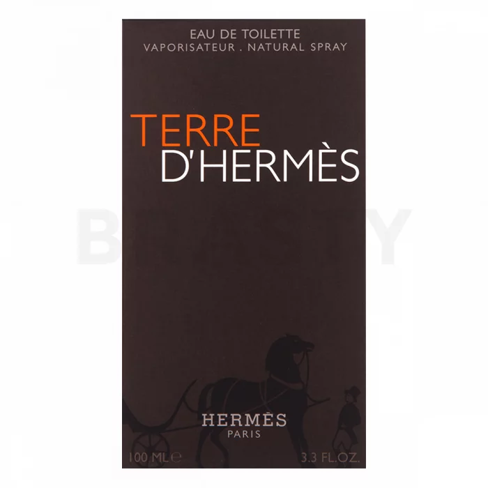 Hermès Terre D'Hermes toaletní voda pro muže 100 ml