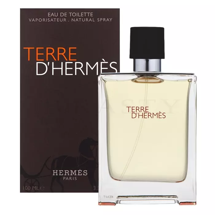 Hermès Terre D'Hermes toaletní voda pro muže 100 ml