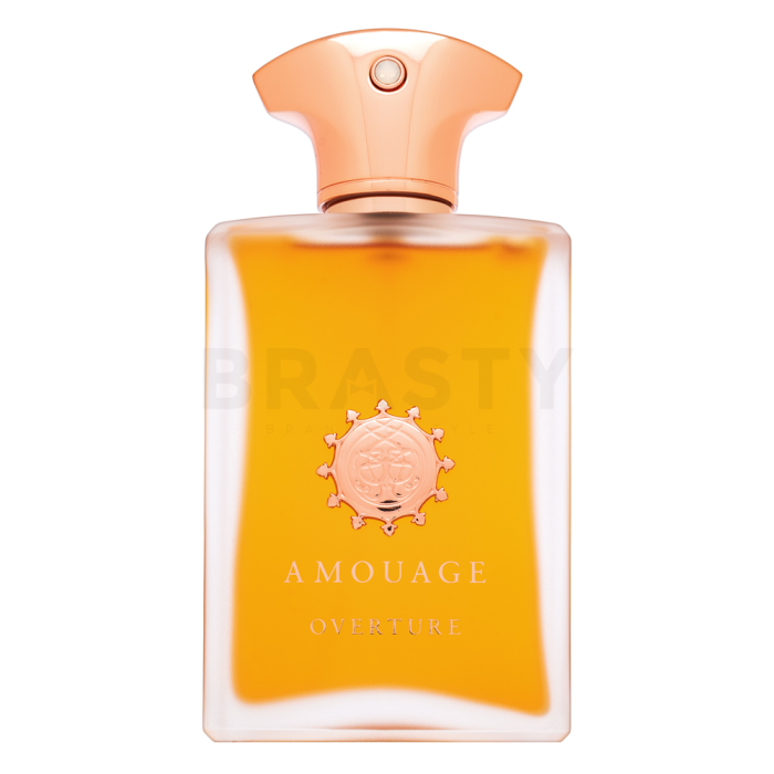 Amouage Overture parfémovaná voda pro muže 100 ml