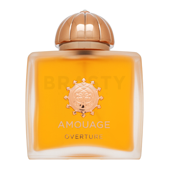 Amouage Overture parfémovaná voda pro ženy 100 ml