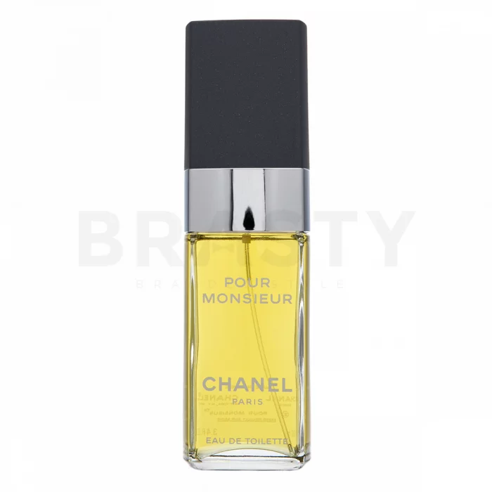 Chanel Pour Monsieur toaletní voda pro muže 100 ml