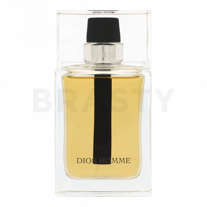 Dior (Christian Dior) Dior Homme 2011 Toaletna voda za moške 100 ml