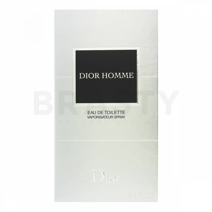 Dior (Christian Dior) Dior Homme 2011 Toaletna voda za moške 100 ml