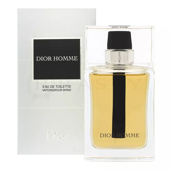 Dior (Christian Dior) Dior Homme 2011 Toaletna voda za moške 100 ml