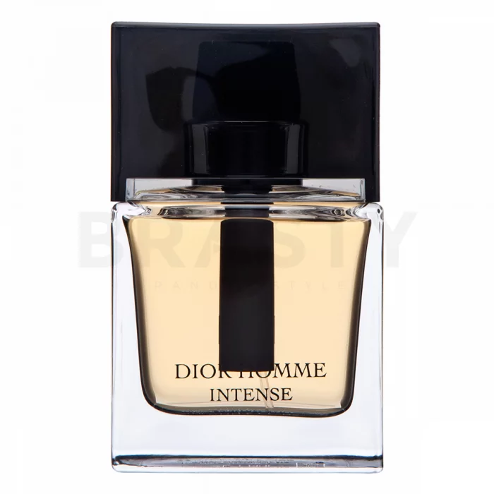 Dior (Christian Dior) Dior Homme Intense 2011 parfémovaná voda za muškarce 50 ml