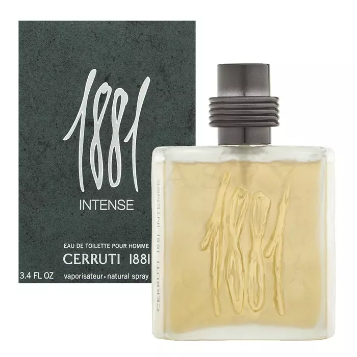 Cerruti 1881 Intense toaletní voda pro muže 100 ml