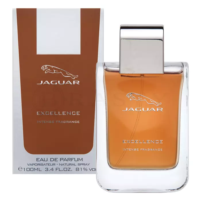 Jaguar Jaguar Excellence Intense Men parfémovaná voda pro muže 100 ml