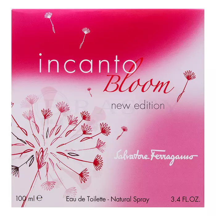Salvatore Ferragamo Incanto Bloom (2014) Eau de Toilette voor vrouwen 100 ml